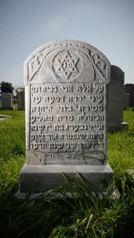 Mollie Eisenberg, obverse