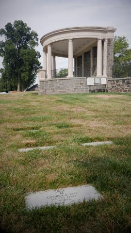 Susie Ann Tate, Rostrum View